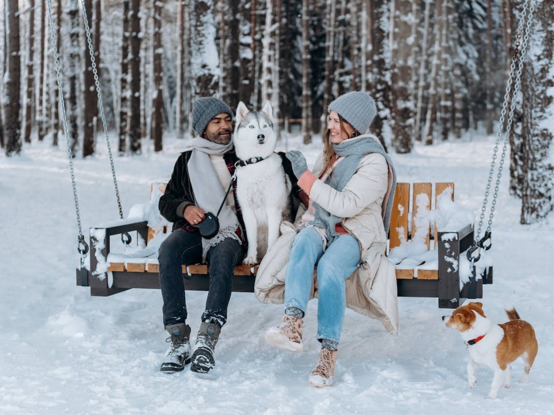 A couple sitting on a swing in the snow.
