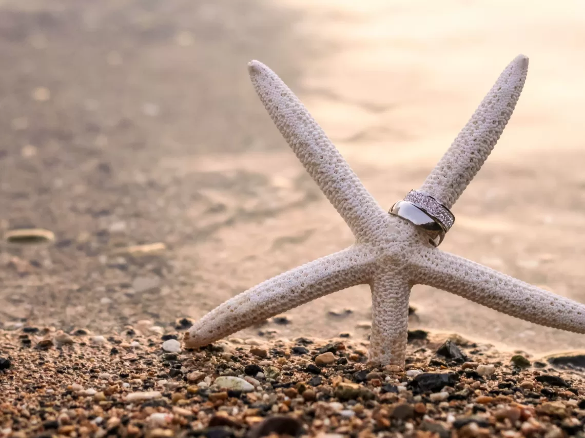 A starfish on the sand with 2 wedding rings next to it.