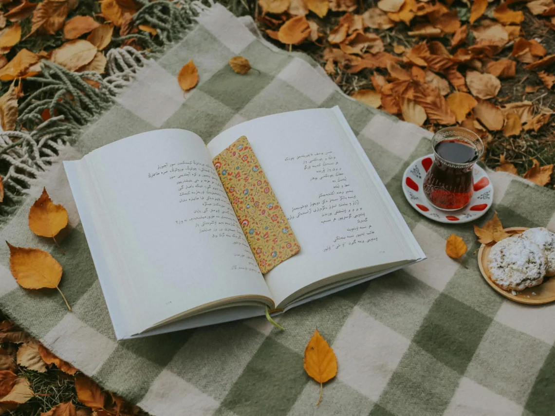 A fall picnic in the woods.